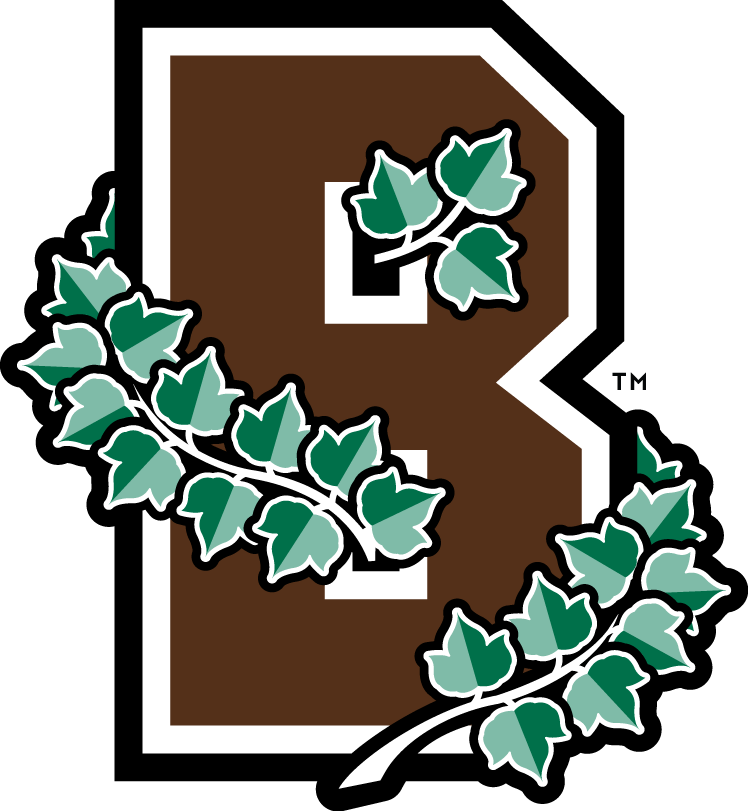 Brown Bears 2003-Pres Alternate Logo t shirts iron on transfers